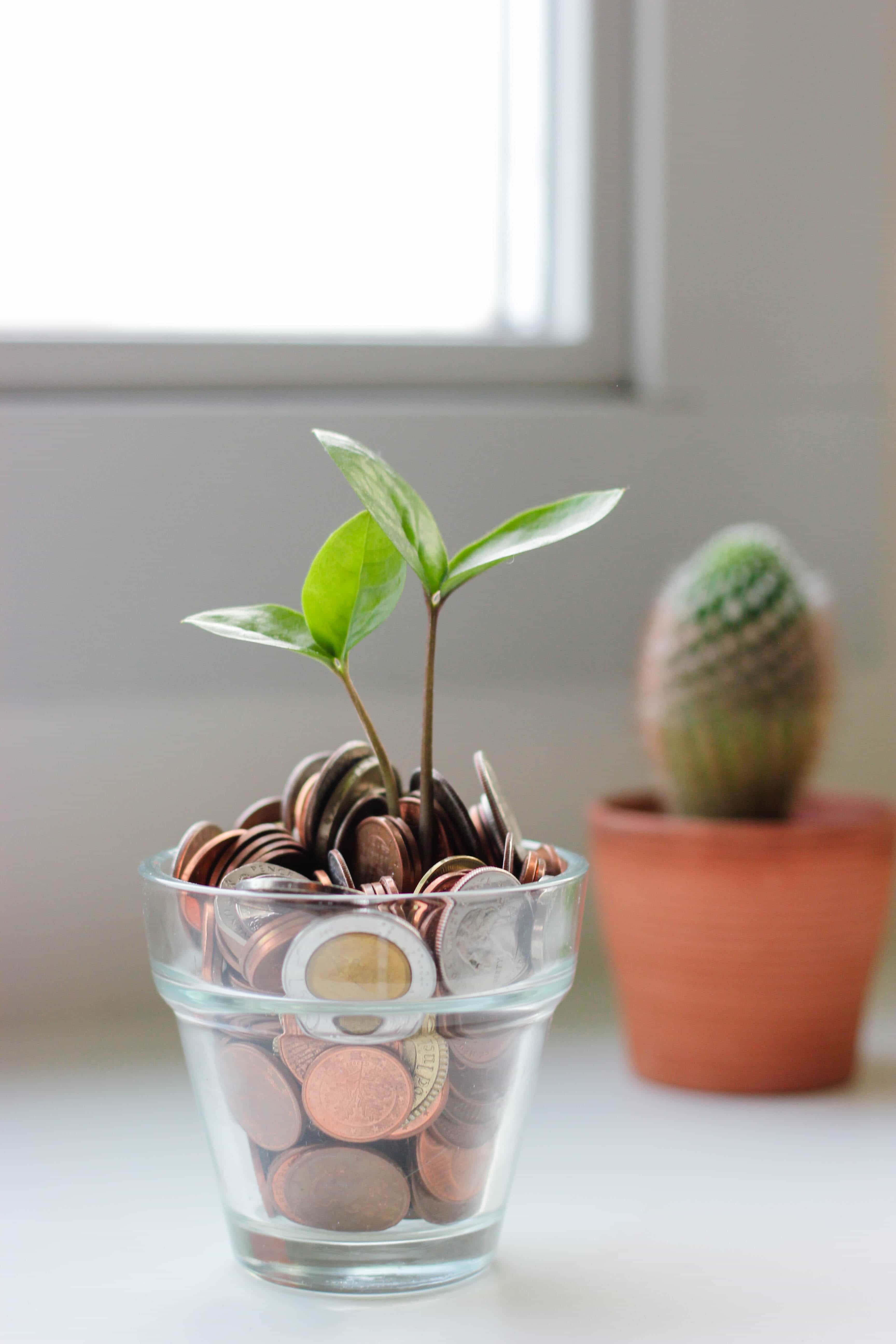 green investment