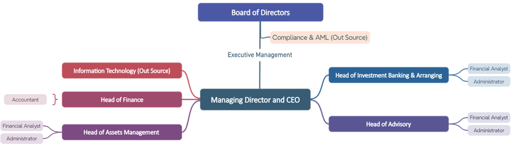 organizational structure 2024